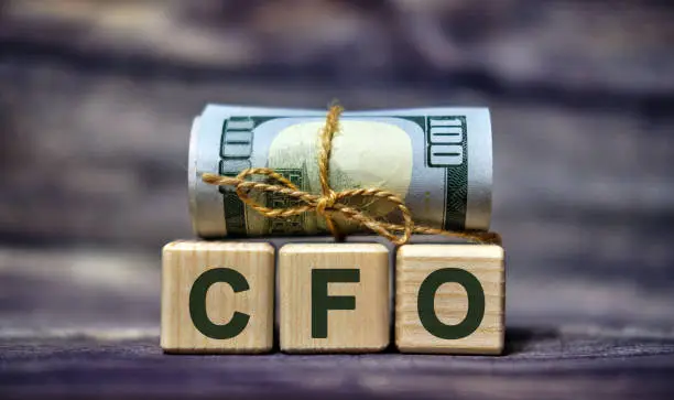 Virtual CFO services in India